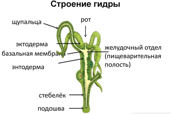 Kraken вход и ссылки