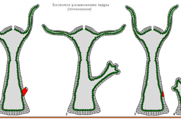 Kraken сайт krakens15 at