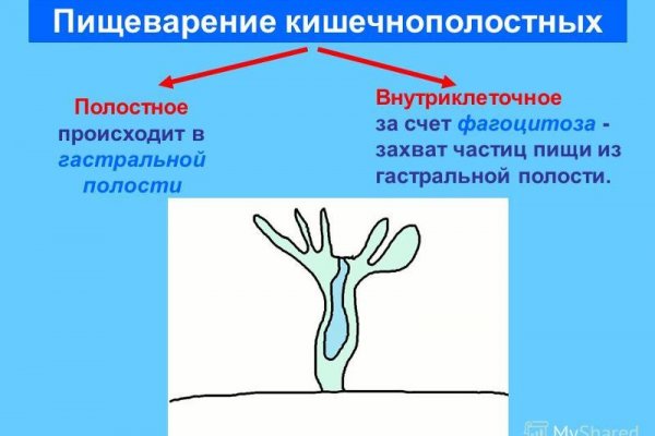 Кракен маркет наркотики