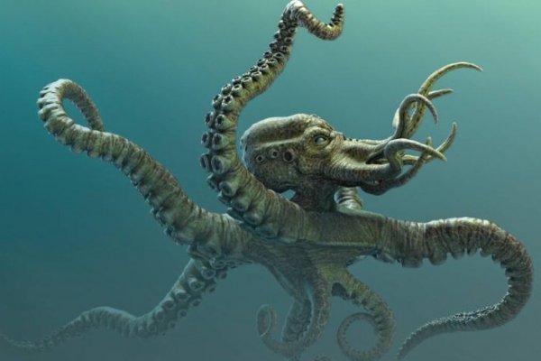 Кракен ссылка kraken