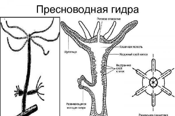 Через какой браузер заходить на кракен